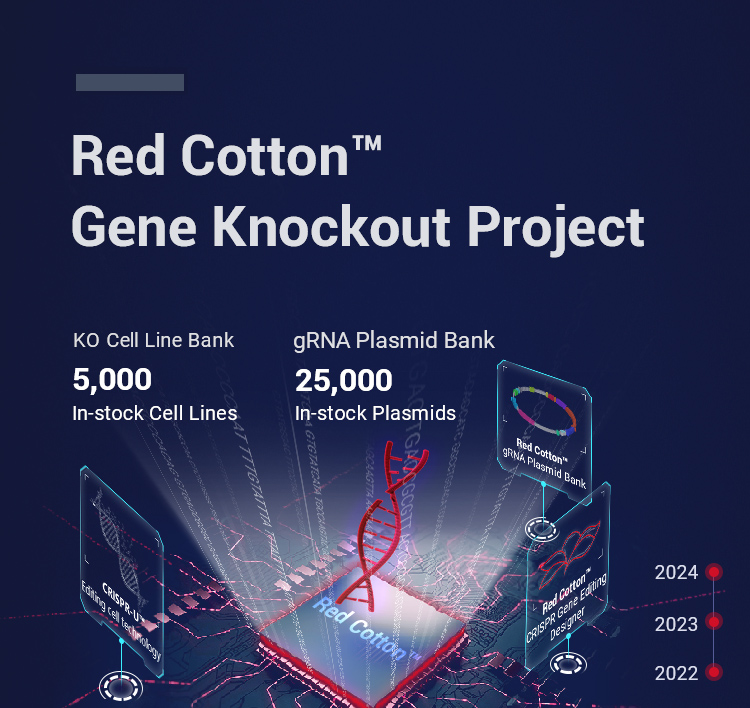 Red Cotton™ Gene Knockout Project