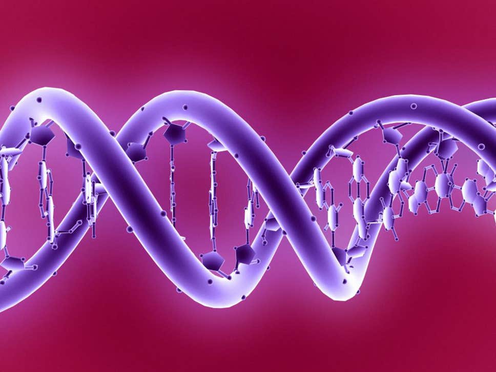 Ubigene The famous double helix of DNA – being able to edit this could transform medicine, but the process appears to be more difficult than first thought ( Science Photo Library ) 