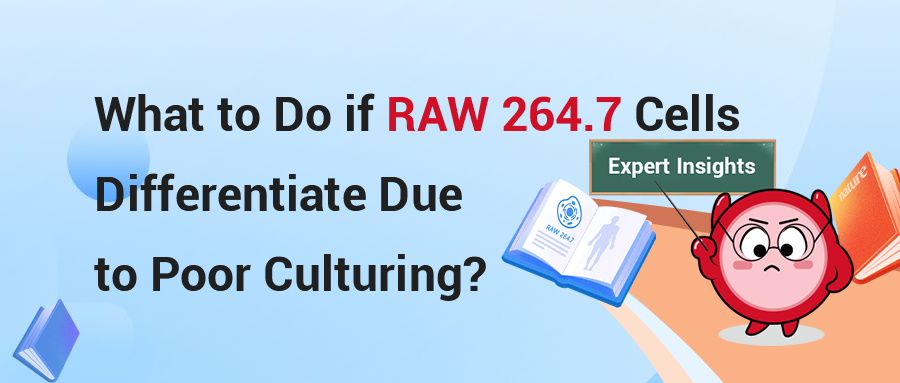 Expert Insights | What to Do if RAW 264.7 Cells Differentiate Due to Poor Culturing?