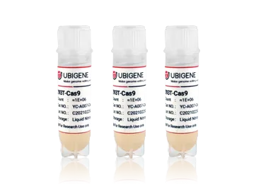 KGN-CAS9