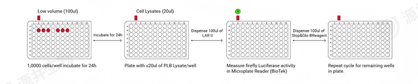 In vivo imaging process