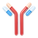 KO antibody illustration