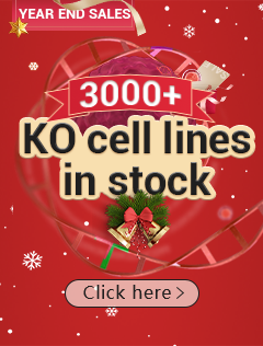 gene KO/PM cell lines