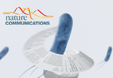 Nat Commun. |Scarless editing in microbe (Ubigene) reveals the membrane translocation mechanism of secretins