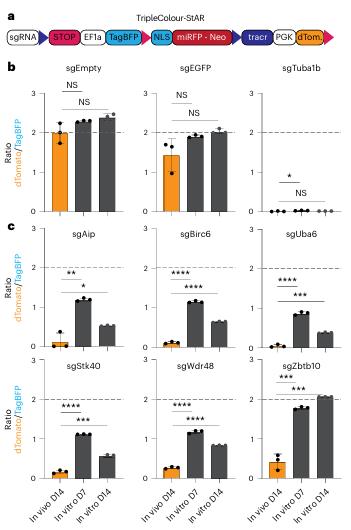 Figure 6. Validation of individual in vivo–specific genetic hits