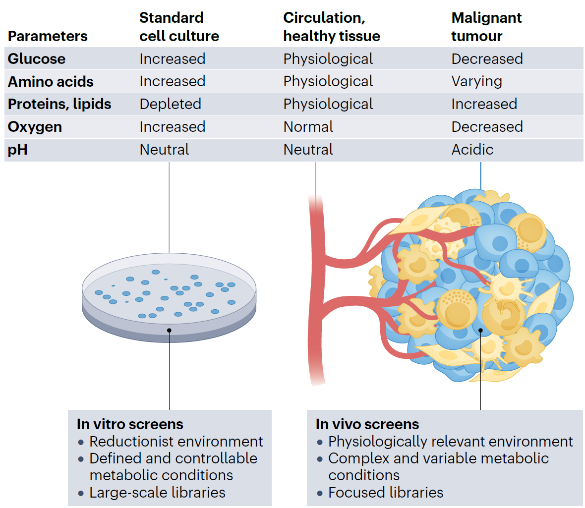 Figure 1. Metabolic Contexts in CRISPR Screening