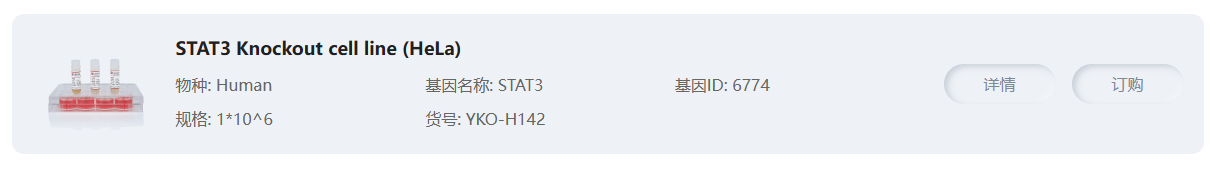 STAT3 Knockout cell line (Hela)