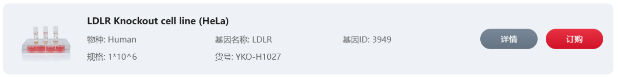 LDLR Knockout cell line (Hela)