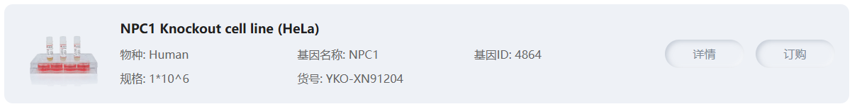 NPC1 Knockout cell line (Hela)