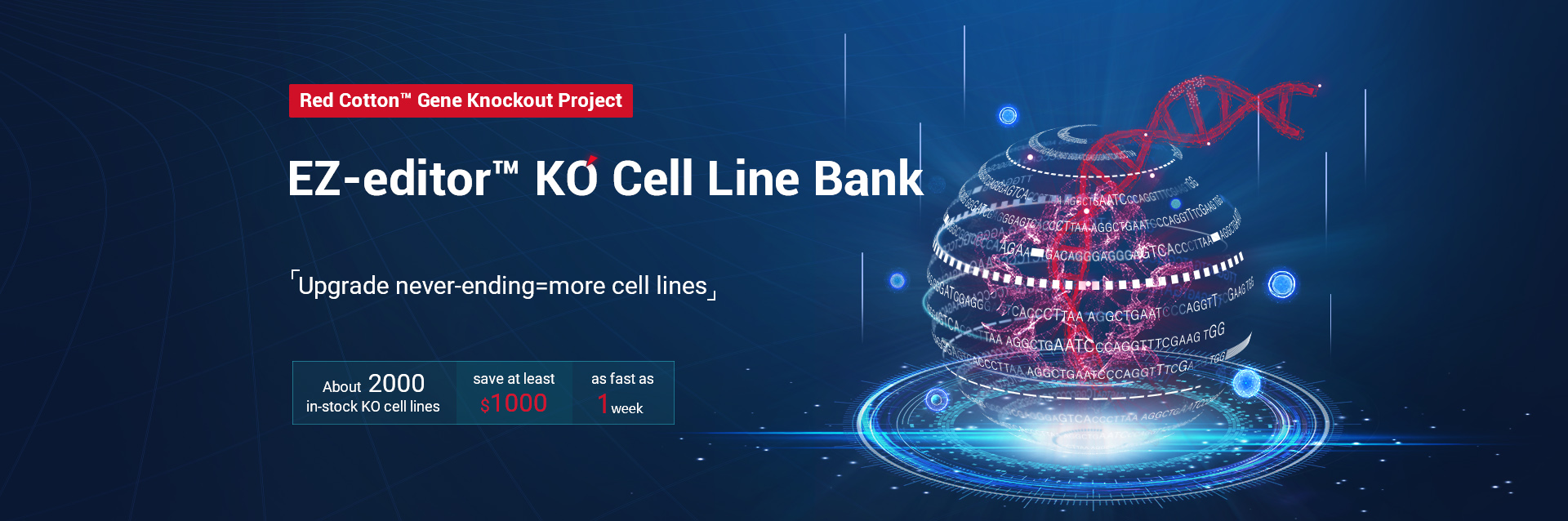 knockout cell lines