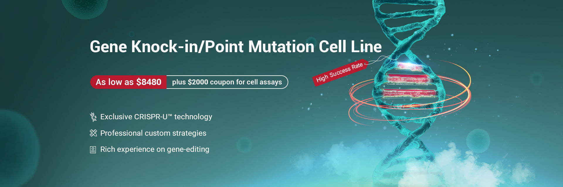 point_mutation