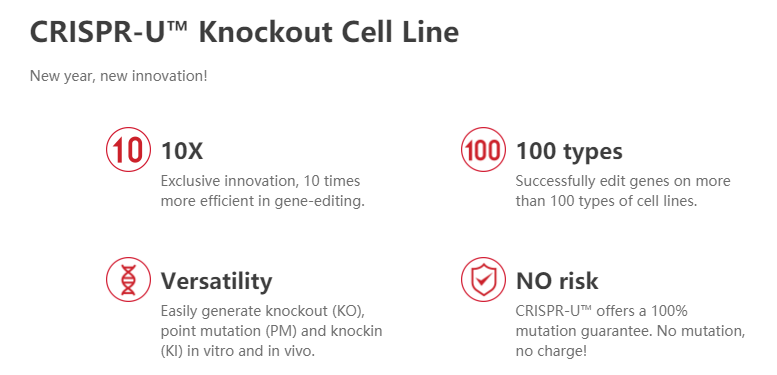 Ubigene Knockout Cell Line
