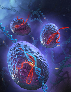 Ubigene CRISPR system in action Illustration by Stephen Dixon