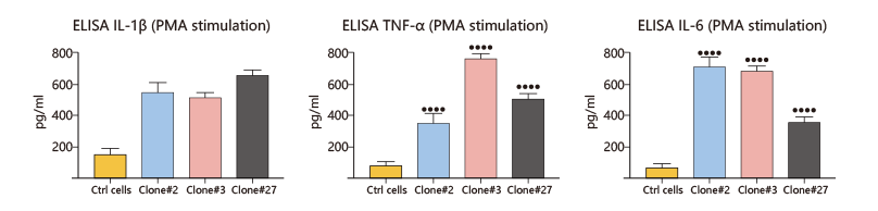 Knock-in THP-1 cell model confirms intracellular antiviral drugs