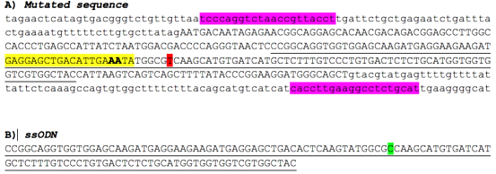 CRISPR/Cas9 gene editing ipsc cell