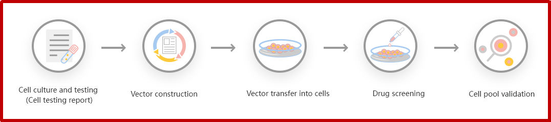 CRISPR-U™ customized workflow for engineered APRE-19 model cells