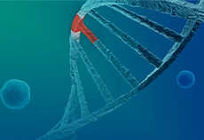 SNP research needs point mutation cells - Summary of 4 construction methods | Ubigene