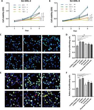 UCMSCs-Tandab(IL-6/CD20) inhibits the proliferation of SU-DHL-2/4