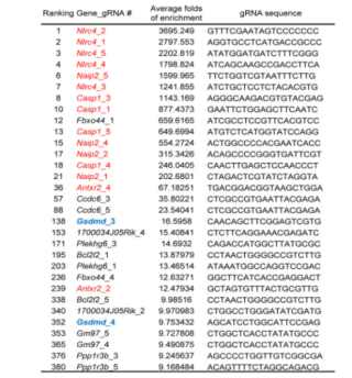LFn-Bsak CRISPR-Cas9 screen hits with multiple gRNAs