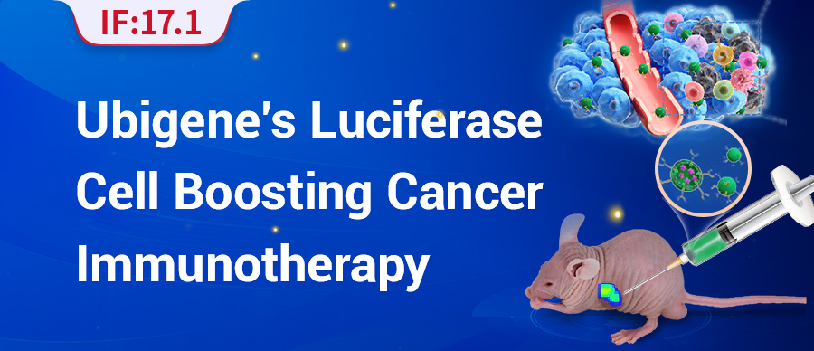 Ubigene’s Luciferase Cell Boosting Cancer Immunotherapy