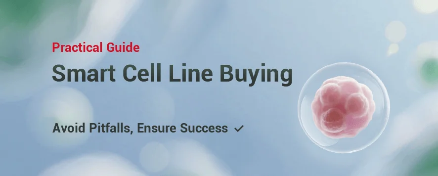 4 Must-Know Expert Tips for Purchasing Cell Lines