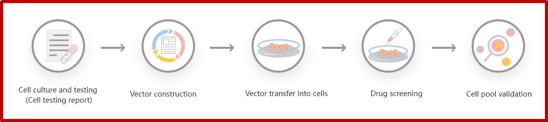 CRISPR-U™ customized workflow for engineered KO cell pool