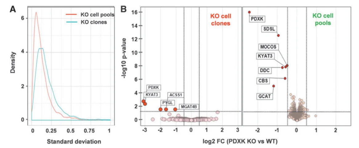 Proteomics phenotype of PDXK KO cells