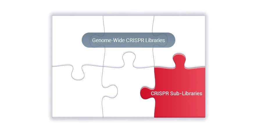 relationship between Whole-Genome Libraries and Sub-Libraries