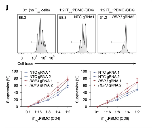 Suppression assay confirms enhanced suppressive activity of RBPJ-deficient iTregs.