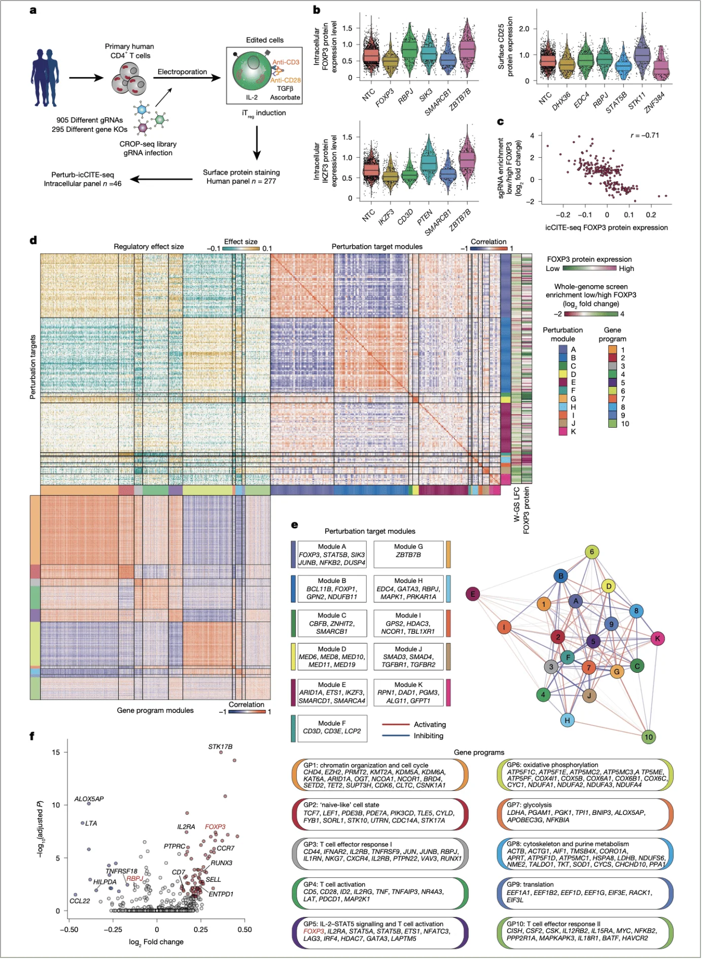 Validation of FOXP3 regulators with Perturb-icCITE-seq