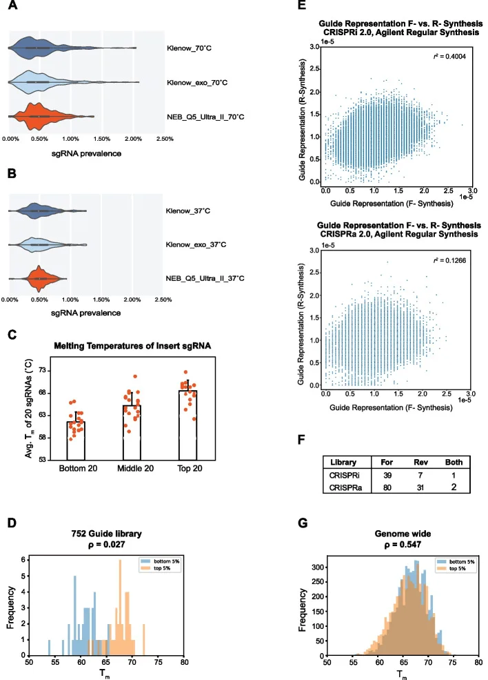 Factors affecting sgRNA uniformity in CRISPR libraries