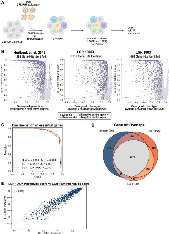 The optimized LGR library maintains performance comparable to existing libraries at reduced cell coverage