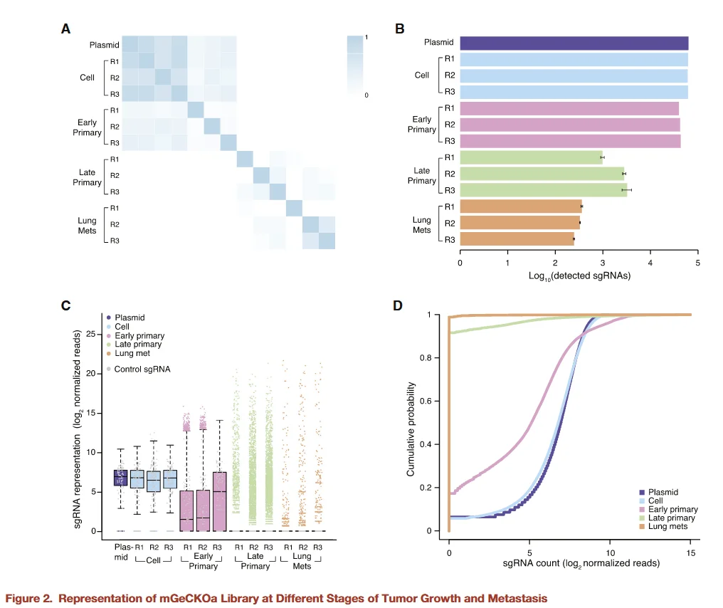 representation of mgeckoa library at different stages of tumor growth and metastasis.webp