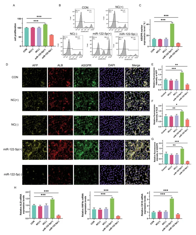 differentiation of-hipscs