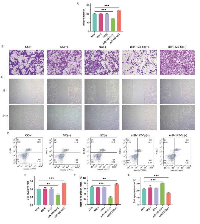 hipscs suppress malignant phenotypes and emt