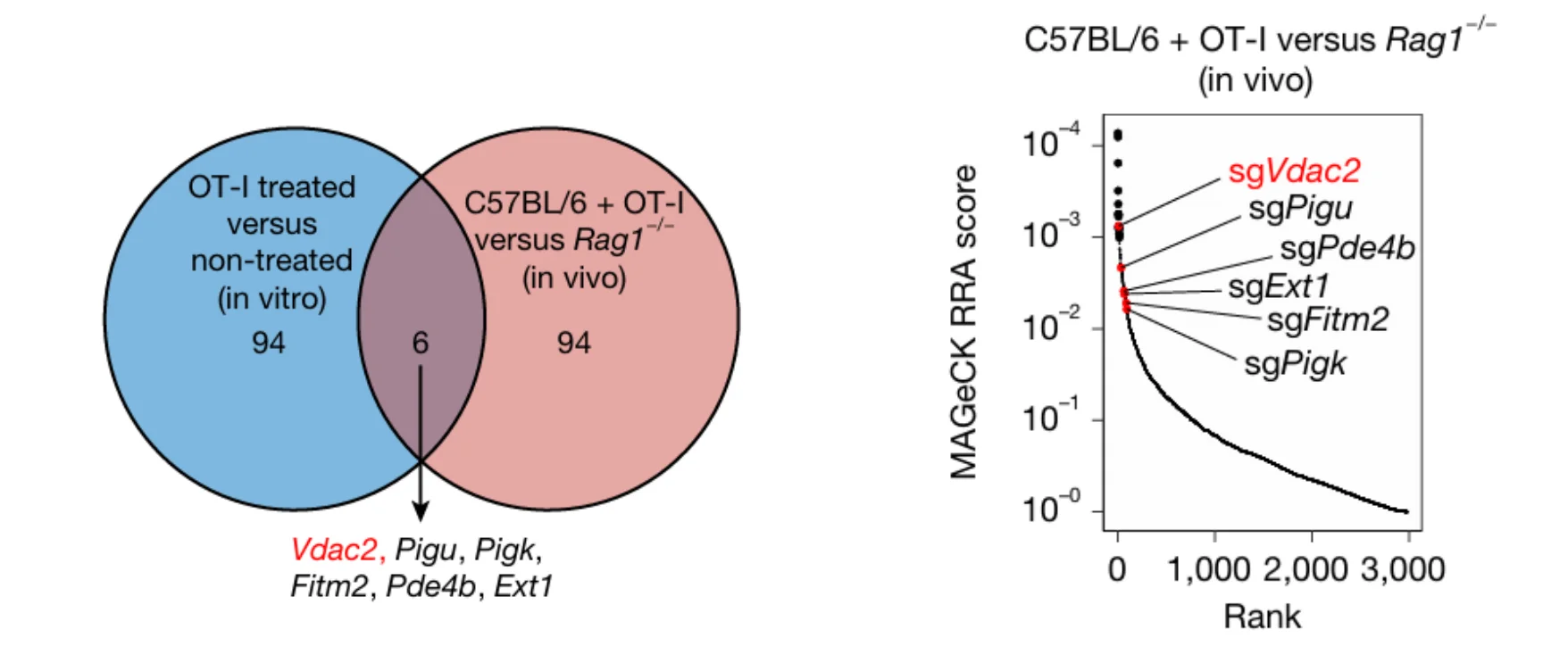 Identification of Immune Evasion Targets from In Vivo and In Vitro Screens