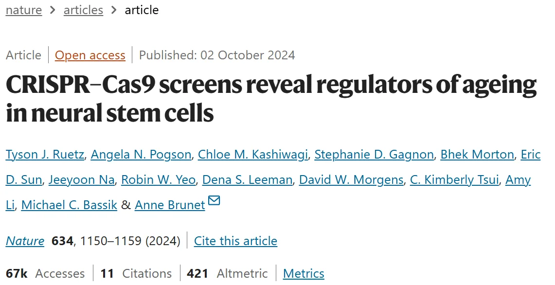 CRISPR Cas9 screens reveal regulators of ageing in neural stem cells