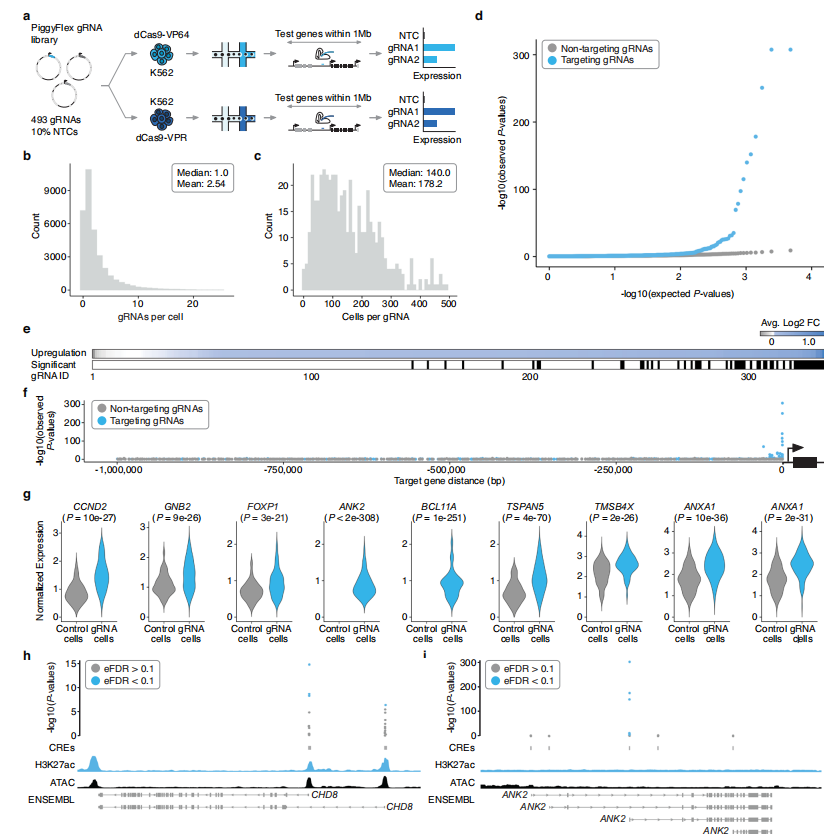 Figure 2. Multiplexed Single-Cell CRISPRa Screening of Regulatory Elements in K562 Cells