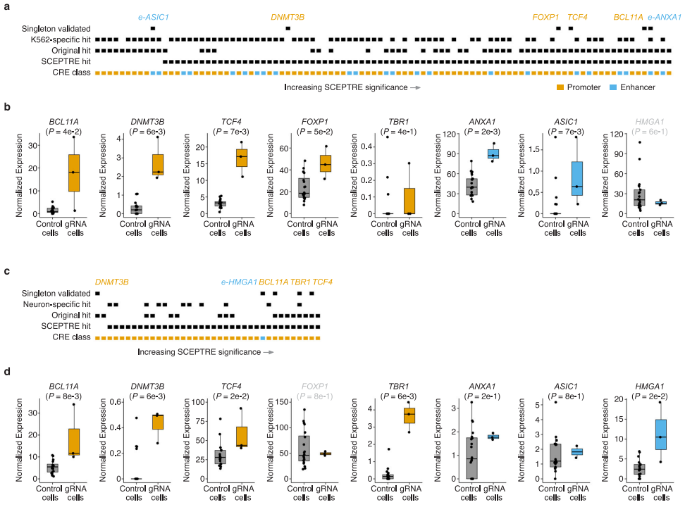 Figure 4. Covariate-Aware Reanalysis and Single-Perturbation Validation Supporting and Extending the Screening Results