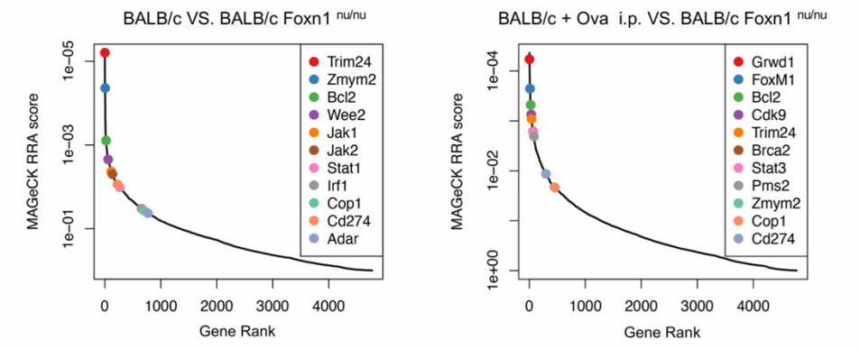 Figure 3. Customized CRISPR Library Screening for Immune-Related Targets.