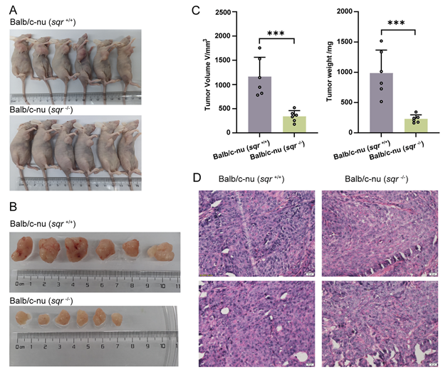 Figure 6. Selected Results from the Study