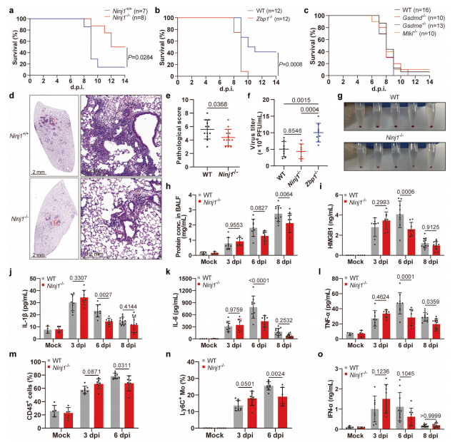 Figure 1. Selected Results from the Study
