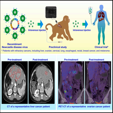 Figure 10. Graphical Abstract