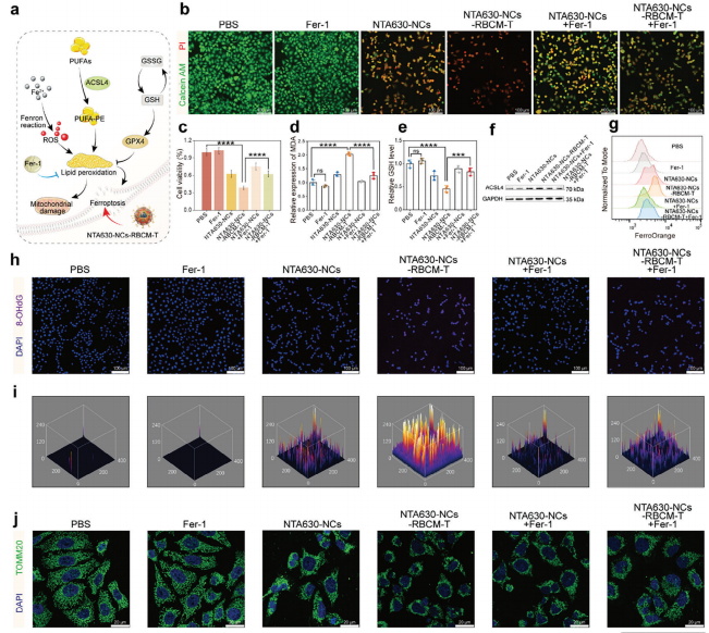 Figure 11. Article Partial Results Figure