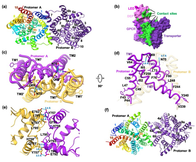 Figure 3. Selected Results from the Study
