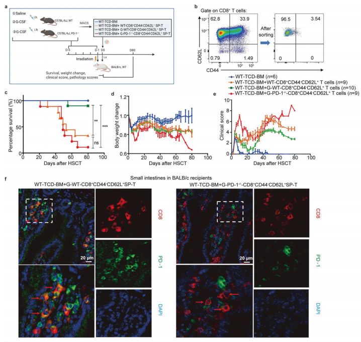 Figure 4. Selected Results from the Study