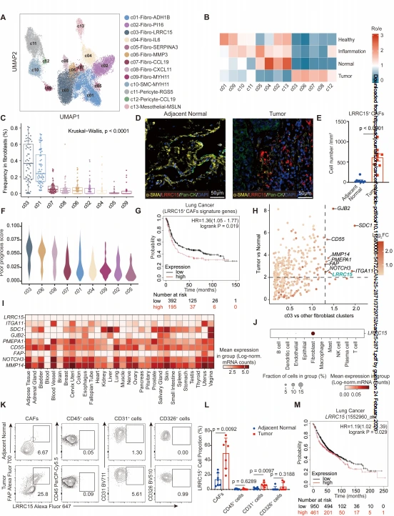Figure 1. LRRC15+ stromal cells are enriched in lung tumors and correlate with poor patient prognosis.