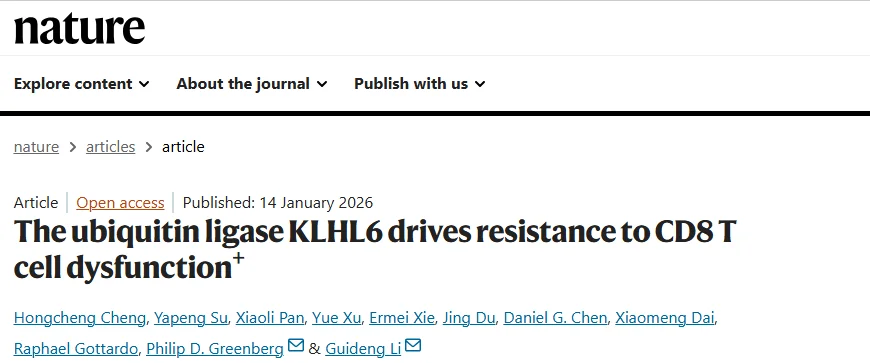KLHL6 Overview