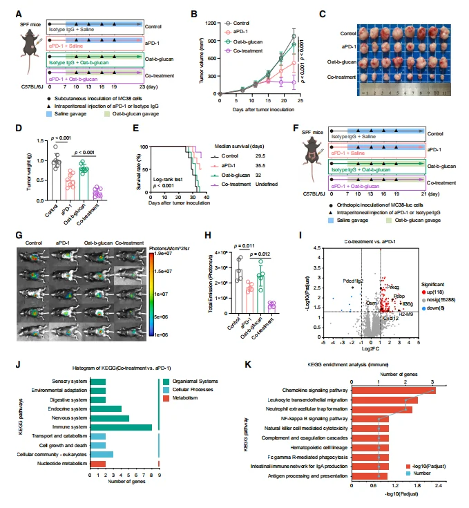 Figure 1. Oat β-glucan enhances PD-1 blockade through immune modulation in mouse tumor models.