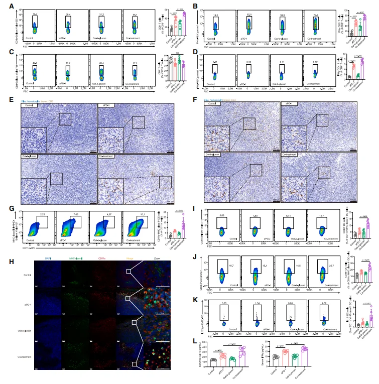 Figure 2. Oat β-glucan enhances PD-1-mediated antitumor immunity through coordinated regulation of T cells and dendritic cells (DCs).